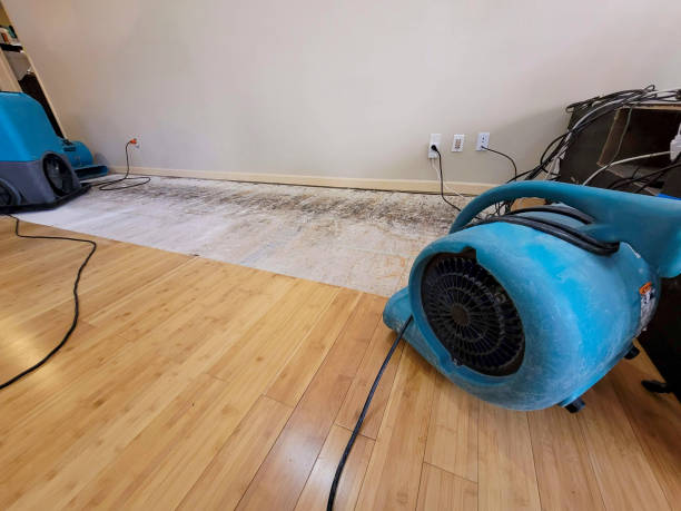 Professional Structural Drying technician working in Greenville, MI
